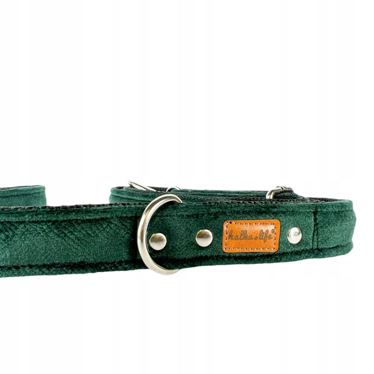 Dog leash - Bottle Green, 25mm / 120-200cm Manufacturer code LEAVELBZ25