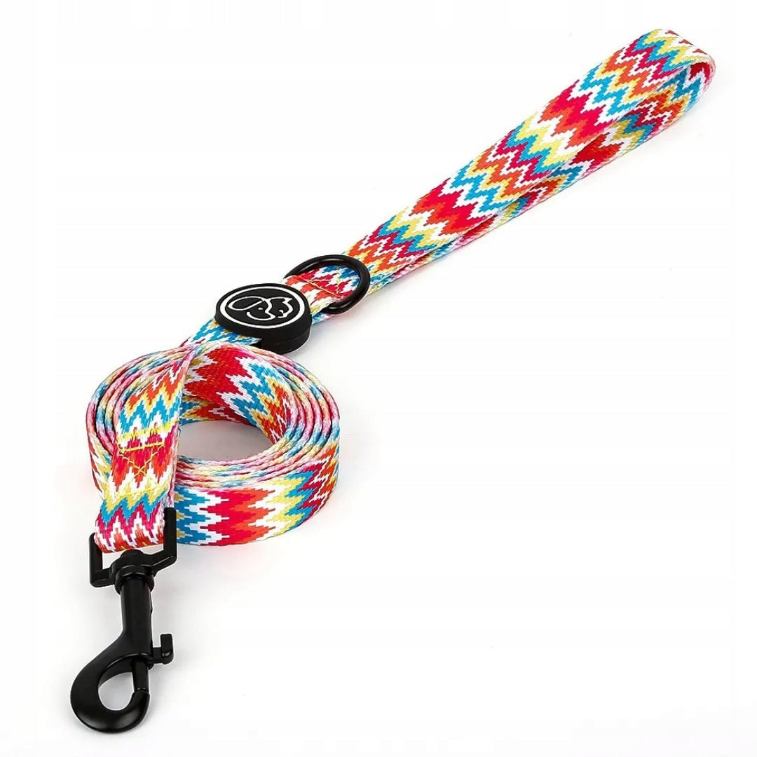 Dog leash PETSTORY SUMMER S colorful 150cm