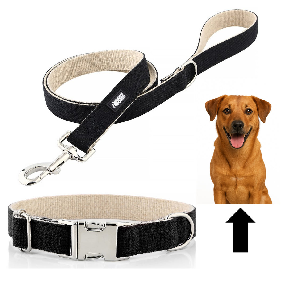 Dog leash and collar strong adjustable set 2in1 HUGGY DOGGY black L