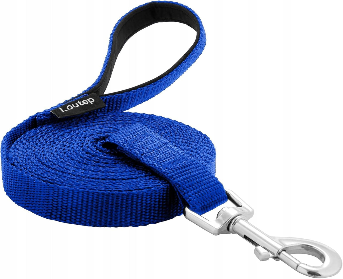 Dog leash blue Loutep 3m