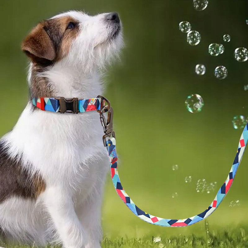 Dog leash reflective soft handle SNOW MOUNTAIN M Brand Everking