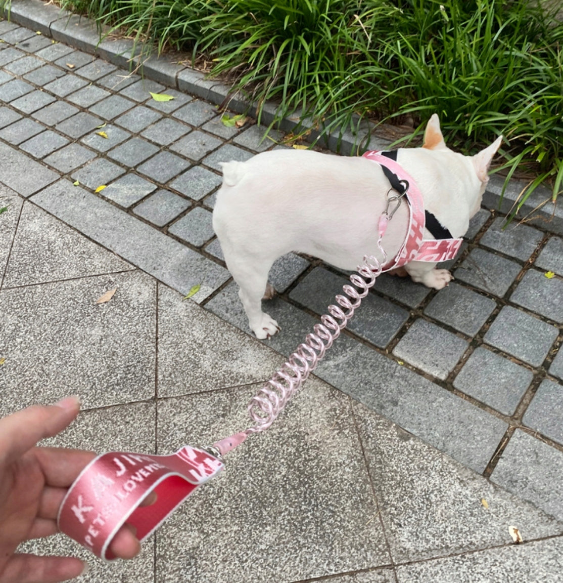 Dog leash stretch shock absorber spring Manufacturer code Bungee leash