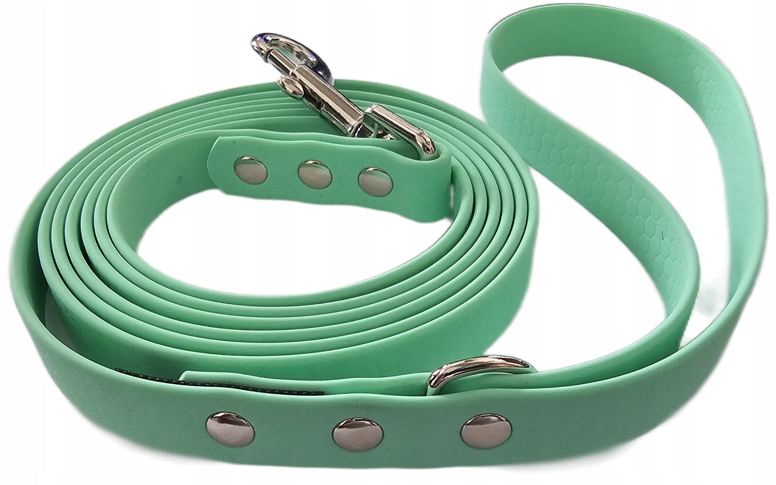 Dog leash training waterproof biothane hexa Caribbean green 5m
