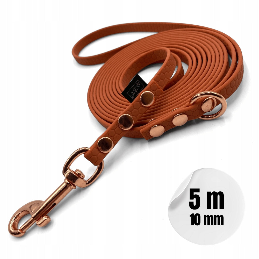 Dog leash waterproof training SaFi mini 5 m colors