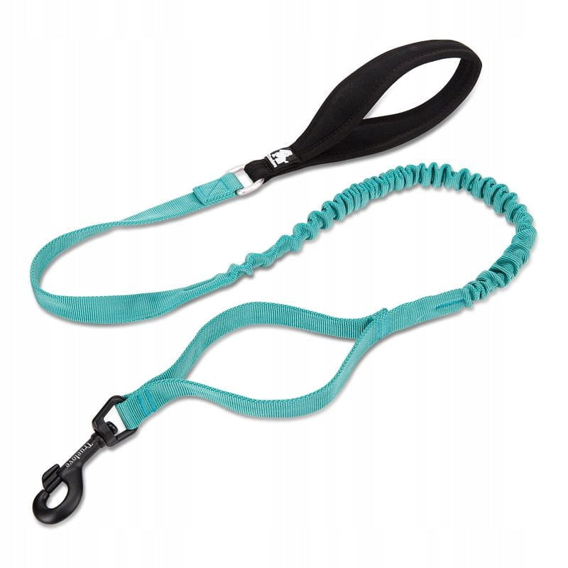 Dog leash with shock absorber Adventure Truelove L