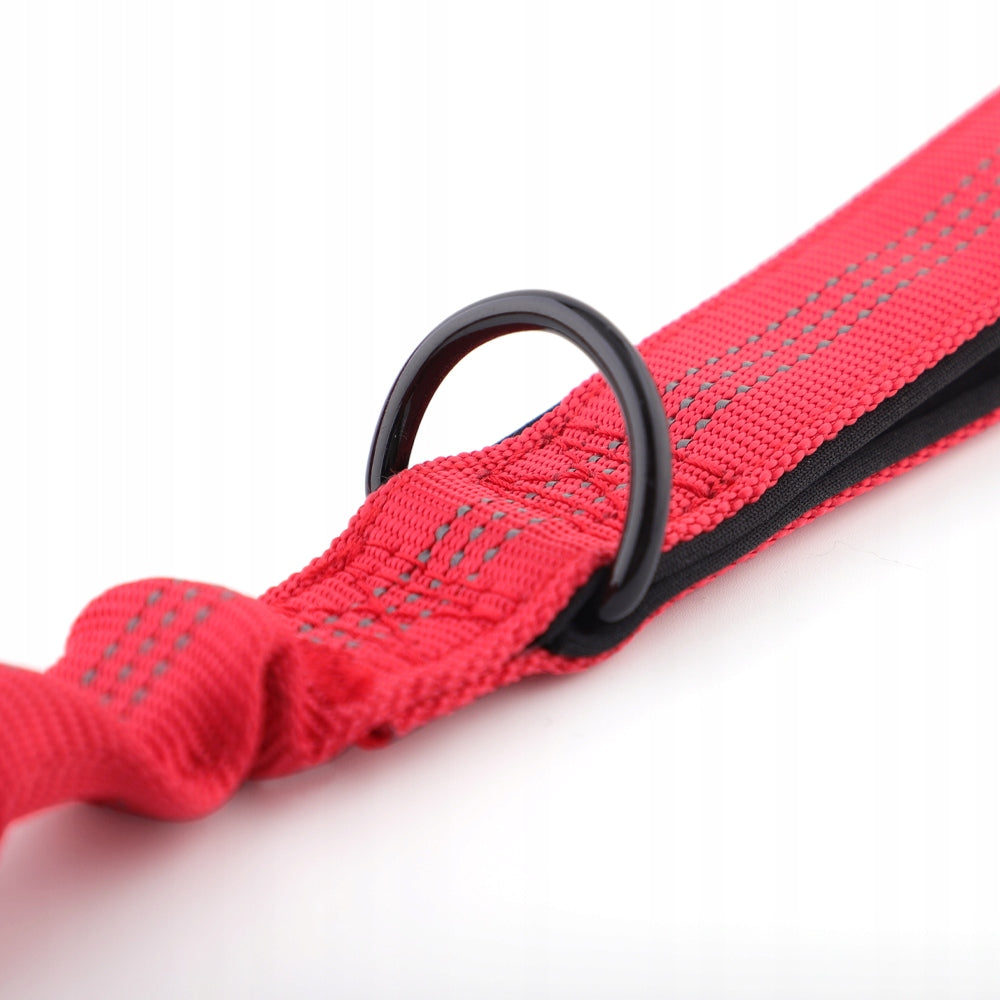 Dog leash with shock absorber red strong bungee HUGGY DOGGY Alpha L Color red