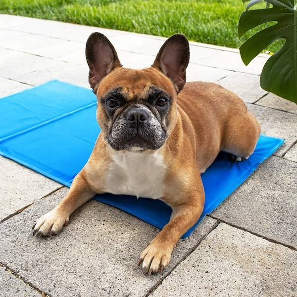 Dog mat Cooling mat gel shades of blue 110 cm x 70 cm Model Mata chłodząca żelowa