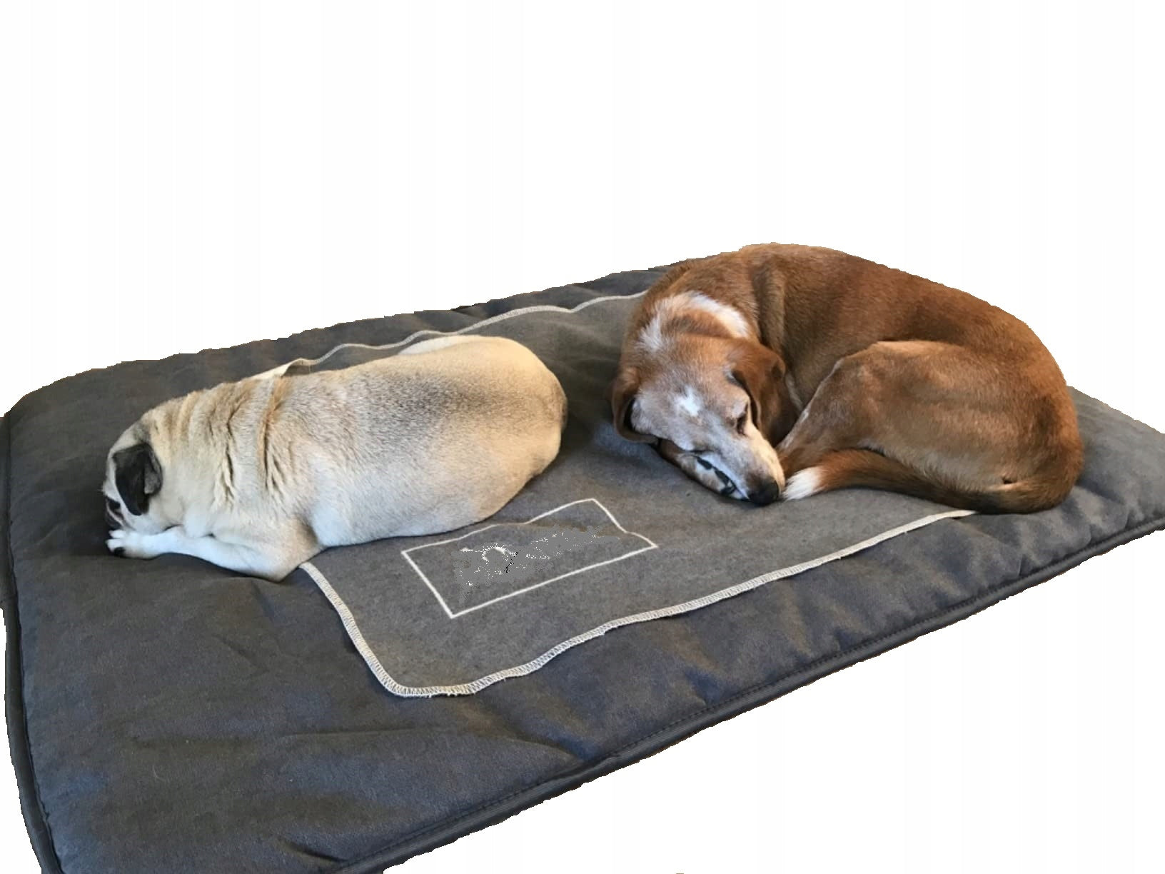 Dog mat RICO COMFORT 40X60 Shape rectangular