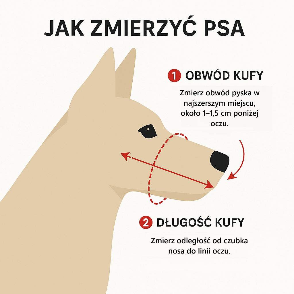 Dog muzzle Plastic Lightweight Durable Champion 4 (M-20cm/5cm) Black Manufacturer code PK 4