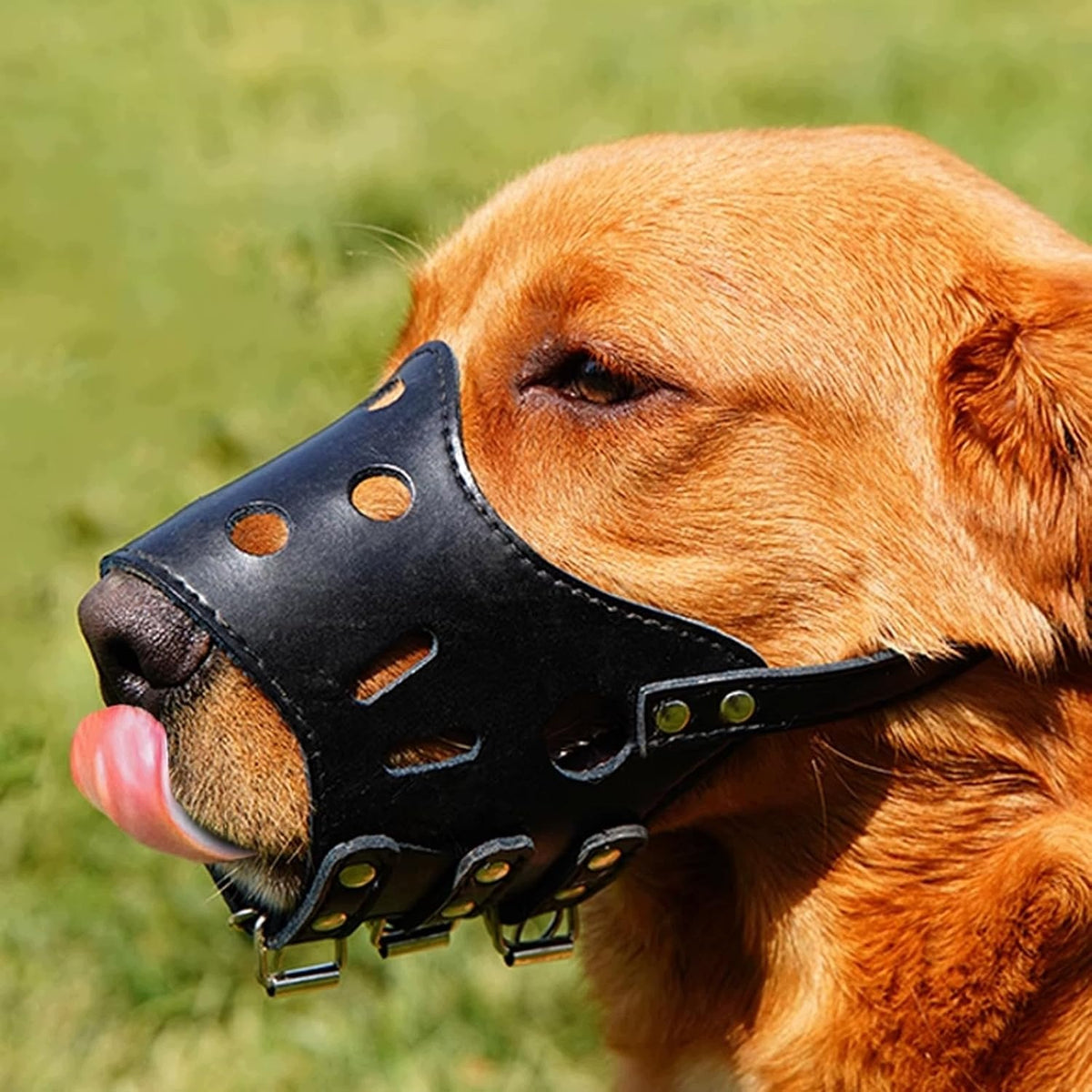 Dog muzzle adjustable XS lightweight breathable black Manufacturer code B0FM3FX6TF