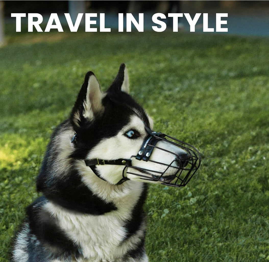 Dog muzzle black BRONZEDOG//3103//Z4 Manufacturer code B06XY5866M