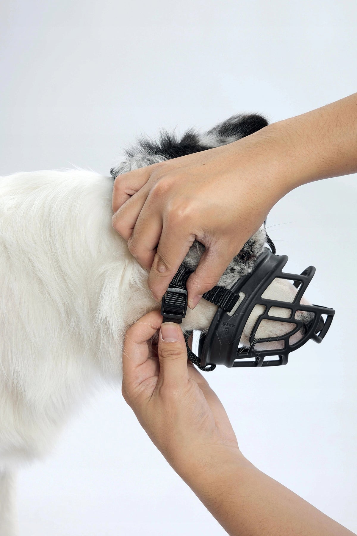 Dog muzzle guard black blue XL M-PETS shoulder Brand M-Pets