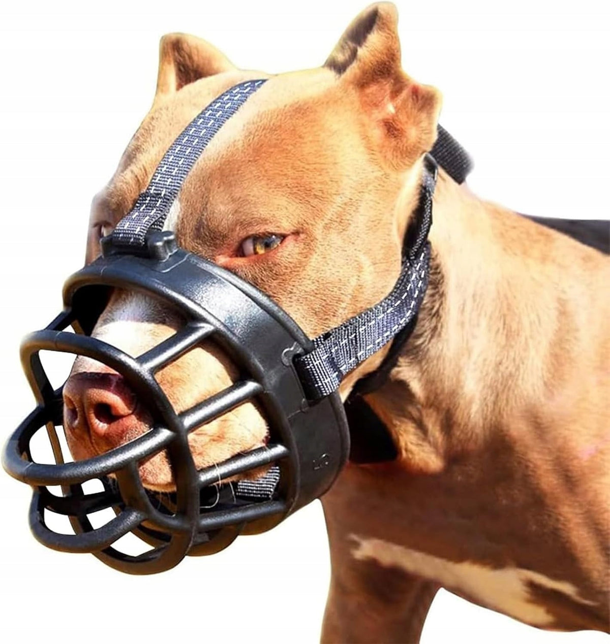 Dog muzzle r.5
