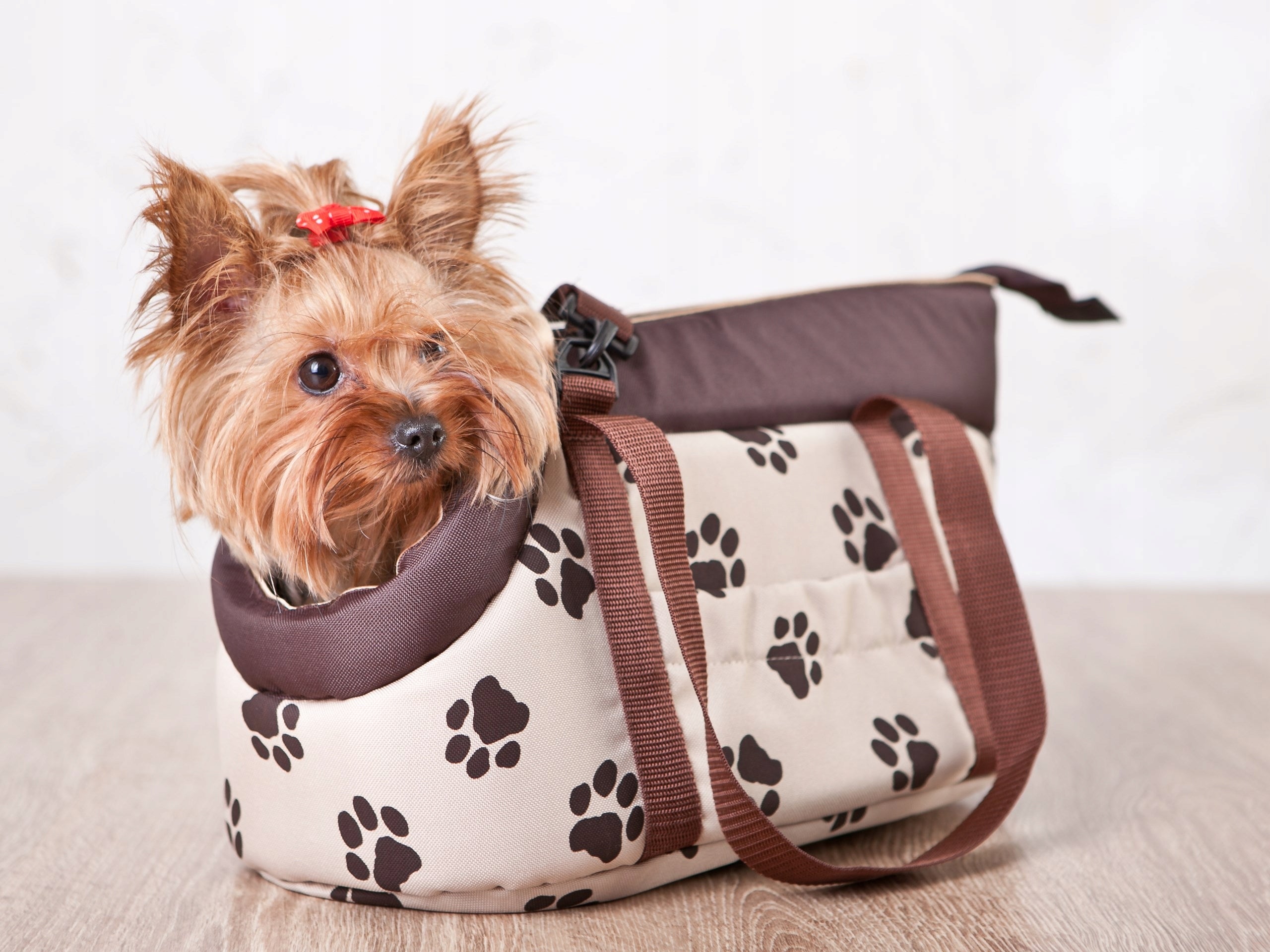Dog or cat bag small Carrier Transporter Doggy for dog R1 36x20 cm Manufacturer code R1 TORBWL4