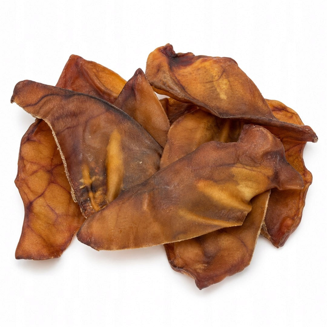 Dog treat natural teether PETITTO pork ear 10pcs