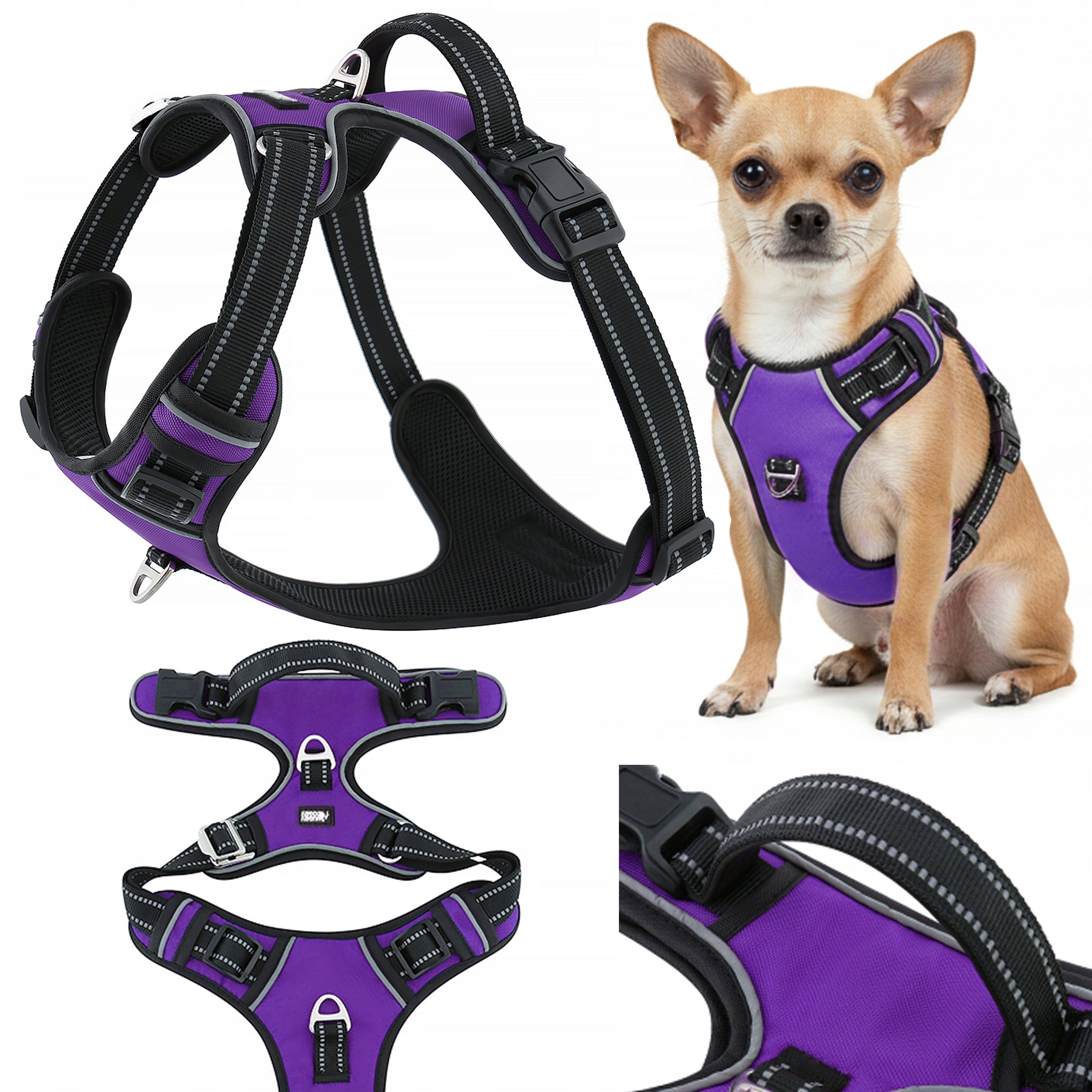 Dog walking harness guard reflective HUGGY DOGGY purple XS