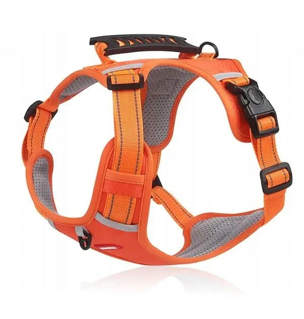 DogFlex – Compression-Free Harness with Chest Belt