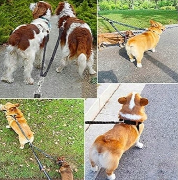 DogMaster Duo 2in1 SUPER STRONG, ANTI-TANGLE REFLECTIVE AND DETACHABLE! Kind for two dogs