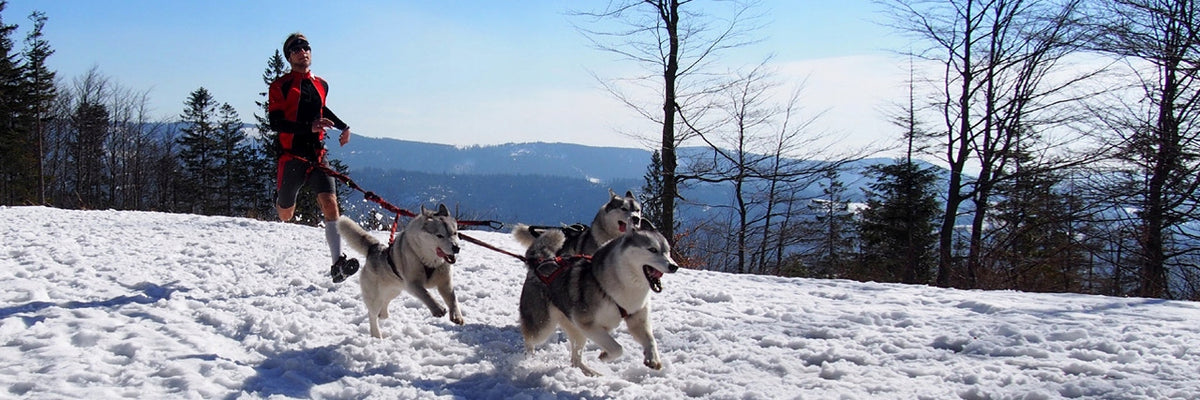 Dogtrekking Hifica RUN TREK 2.2 PP 40 Running Leash Manufacturer code 22PP40