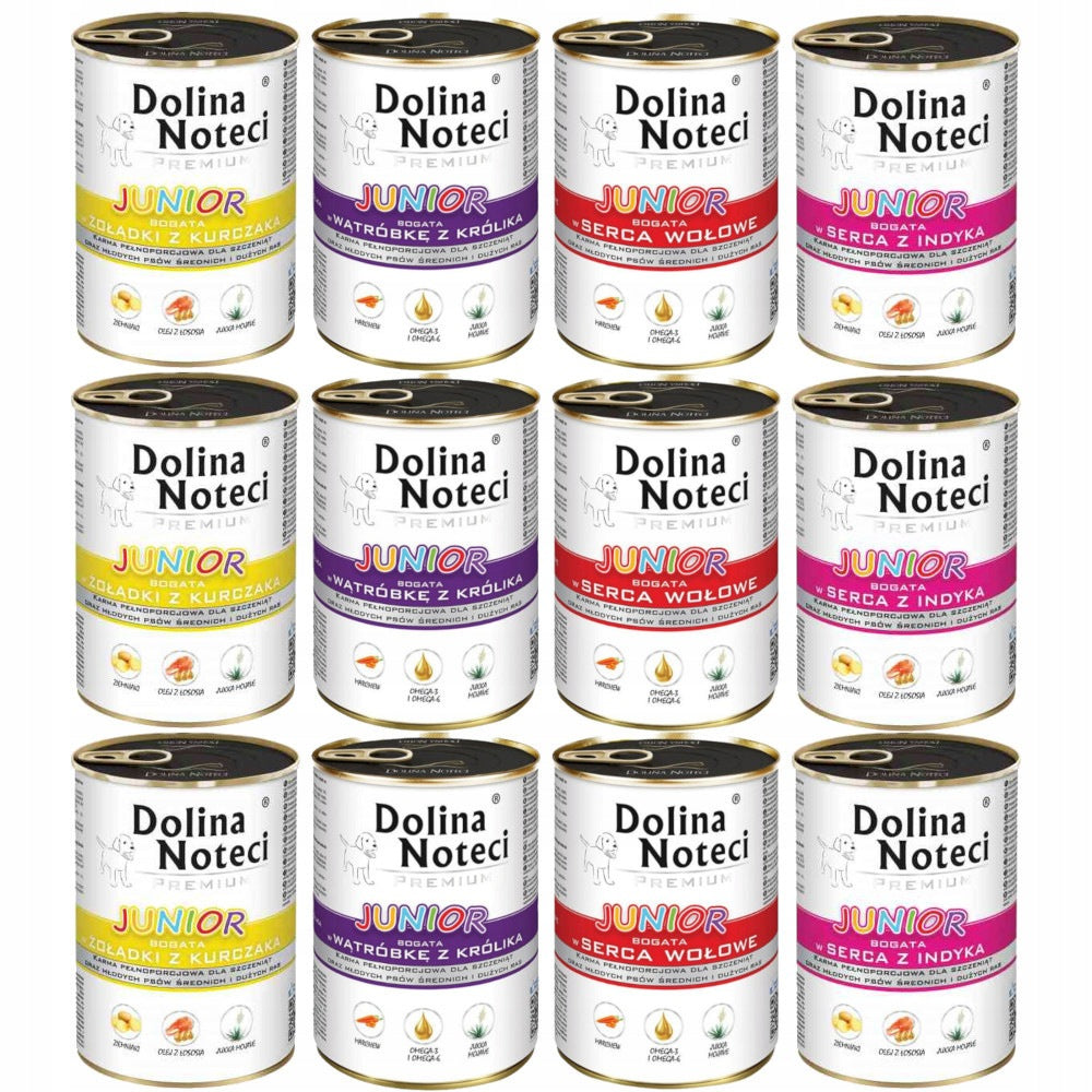 Dolina Noteci Premium JUNIOR Mix 12x400g