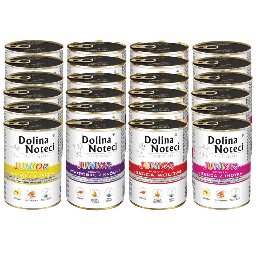 Dolina Noteci Premium JUNIOR Mix 24x400g