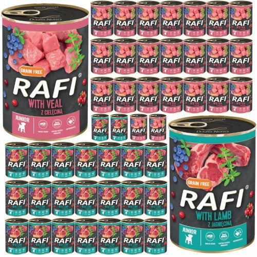 Dolina Noteci Rafi junior mix of flavours 48x400g