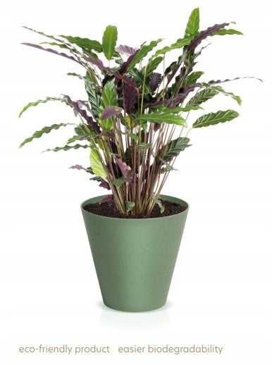 Blumentopf Prosperplast Tubus Slim Corten 30 x 57,2 cm 