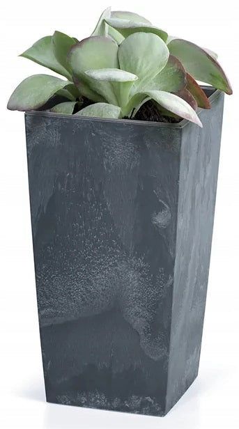 Topf Prosperplast Urbi Square Beton Effect DURS400E-S433, schwarz 