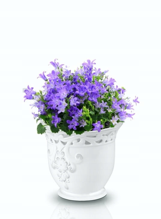 Topf Lissabon 11 cm 