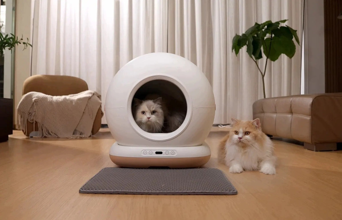 Dr. Stern Smart Cat Sandbox with WiFi Manufacturer code 6973710601031