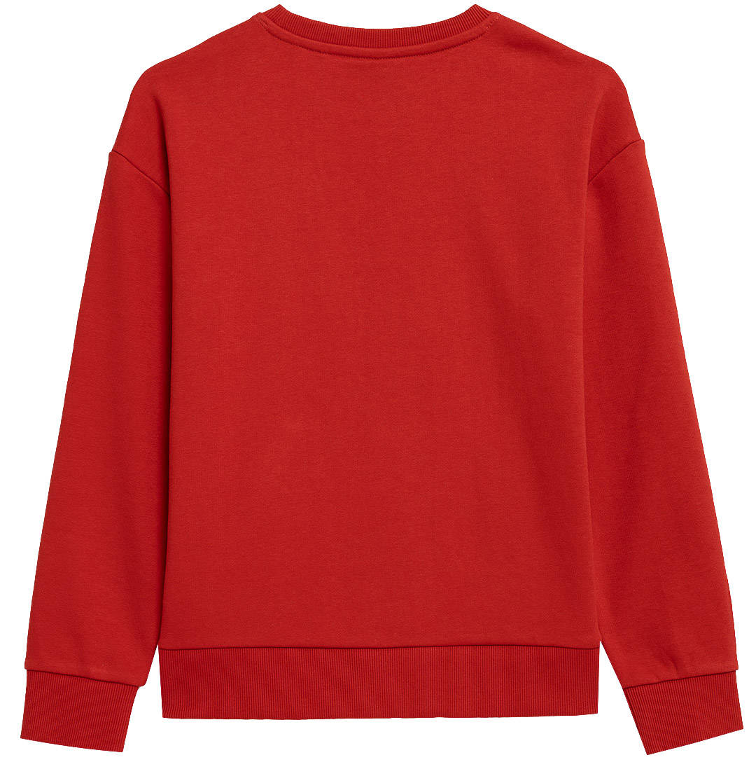 Pullover für Jungen 4F, rot 