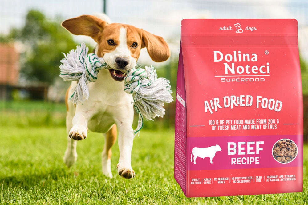 Dried dog food DOLINA NOTECI Superfood Beef 1 kg Product weight 1 kg