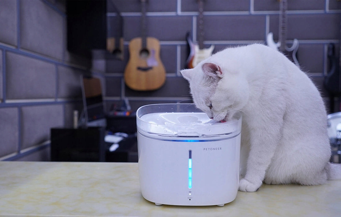 Drinker fountain Petoneer Mini Plus (WiFi) Color white