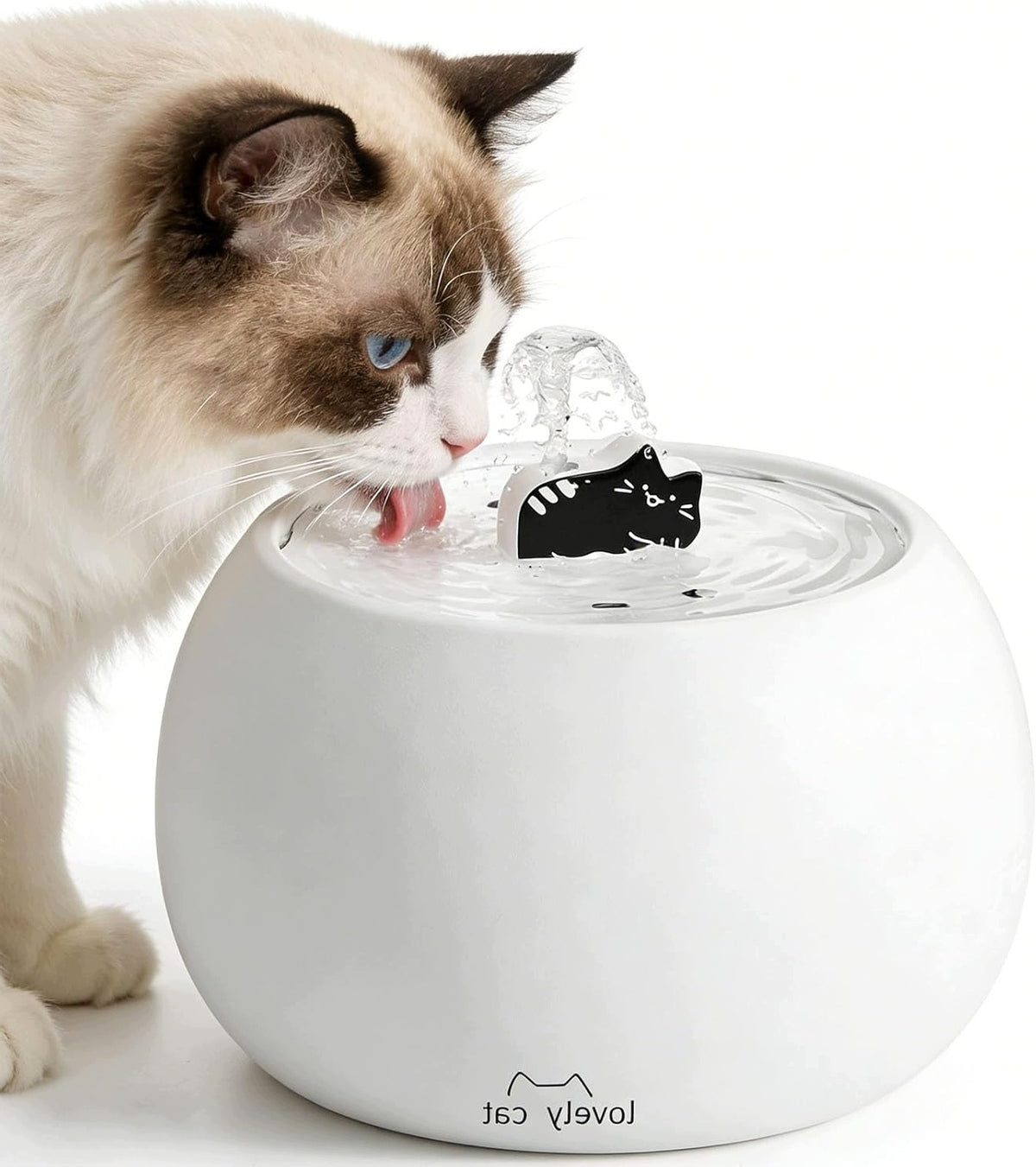 Drinker with fountain AMI ceramics 1000 ml