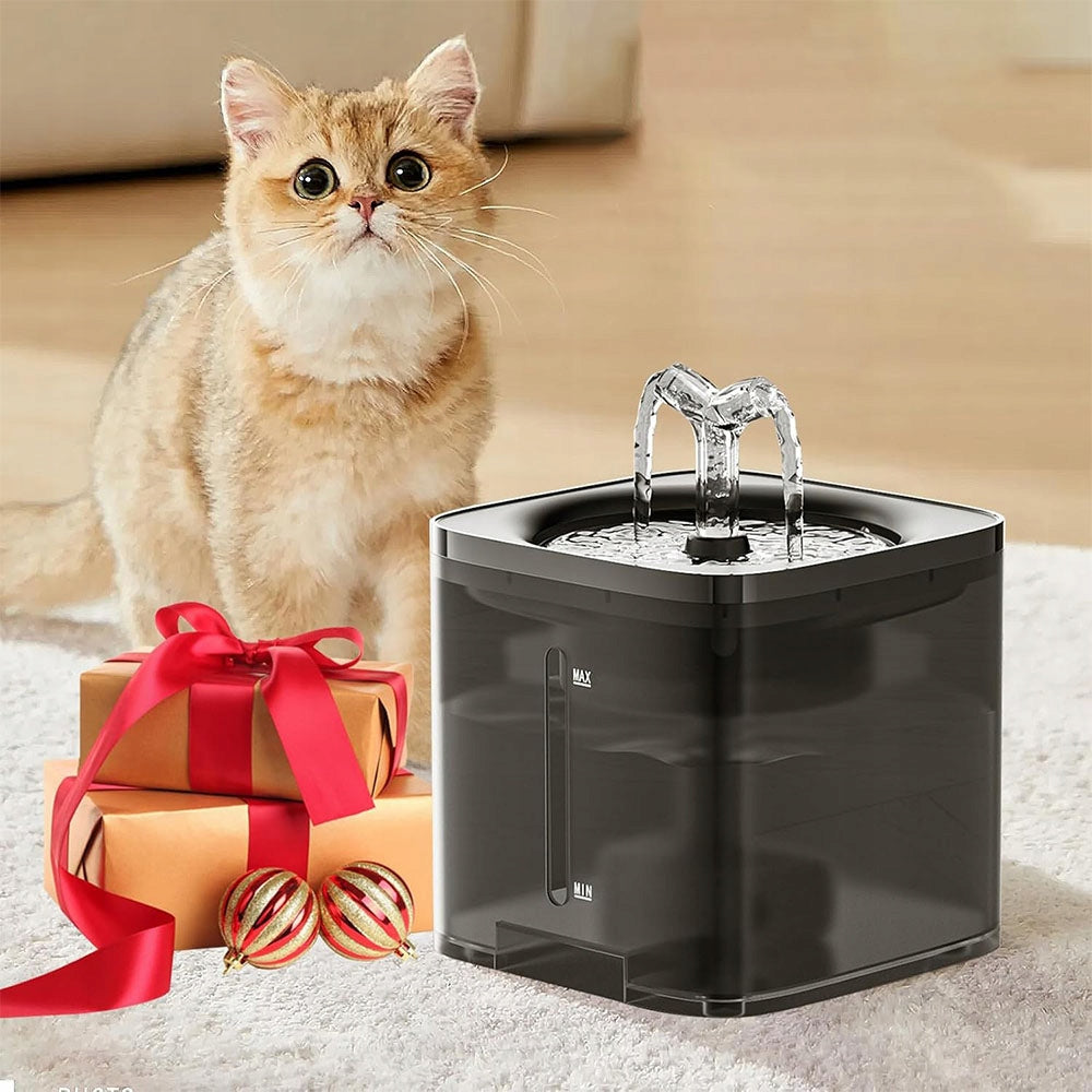 Drinker with fountain FOR ANIMALS DOGS AND CATS WATER BOWL 2000 ml