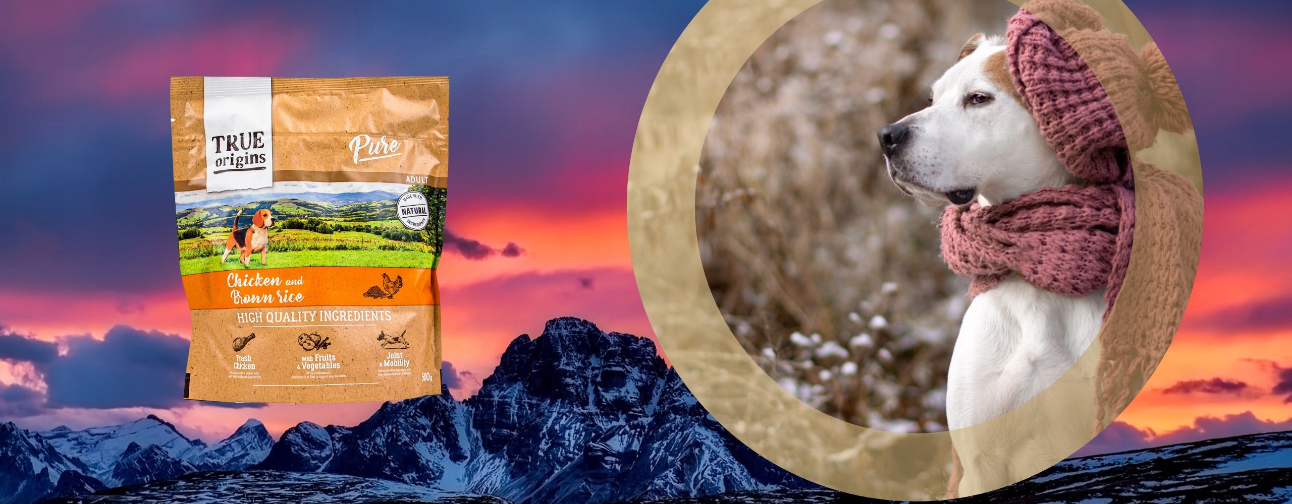 Dry Dog Food 500g True Origins Pure Premium Grain Free Chicken Flavor Brand no brand
