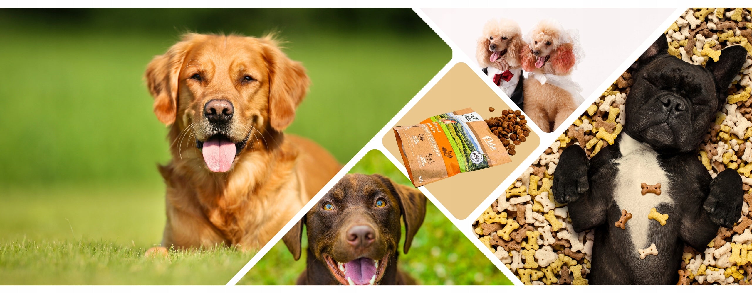 Dry Dog Food 500g True Origins Pure Premium Grain Free Chicken Flavor Packaging status original