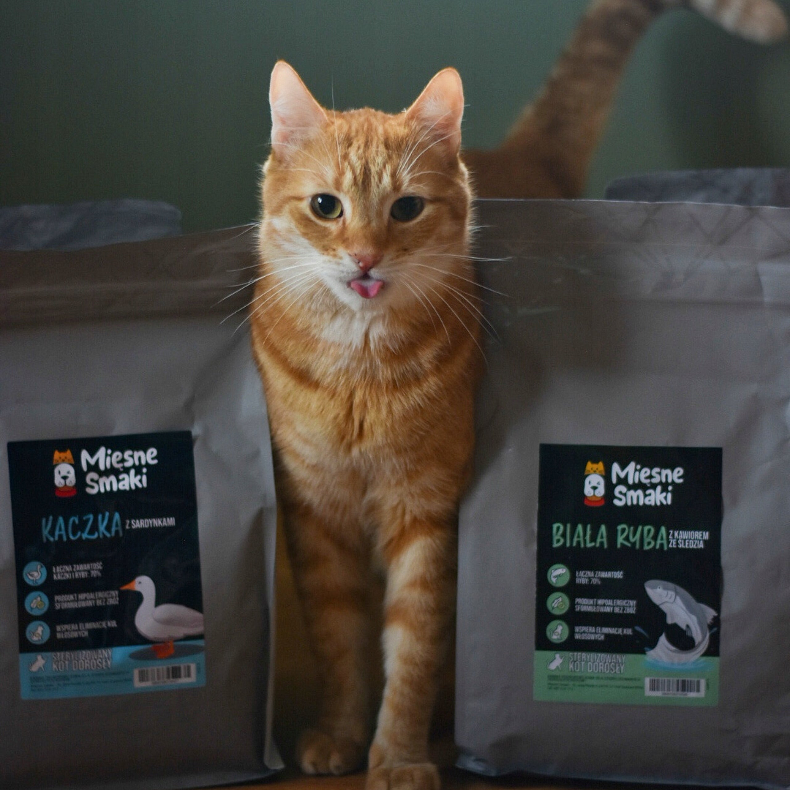 Dry cat food 70% MEAT! - Duck with sardines 1,5 kg - MIĘSNE SMAKI Packaging status original