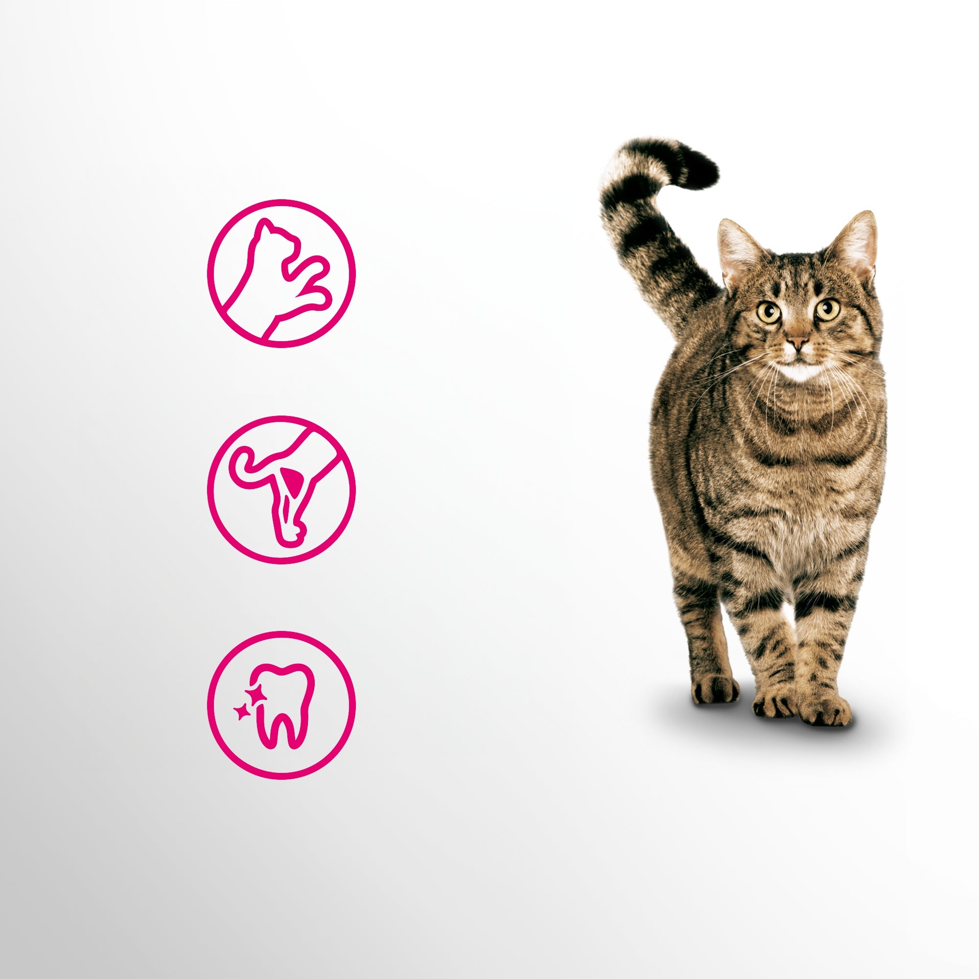 Dry cat food PERFECT FIT Adult with salmon 750g Brand Perfect Fit