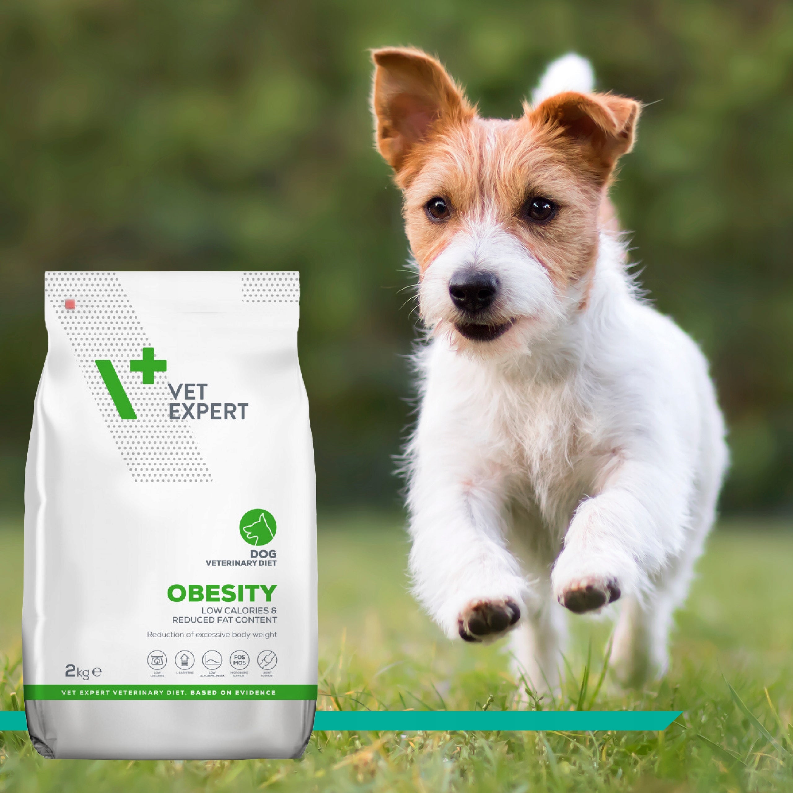 Dry food for dogs with obesity with chicken Vet Expert Obesity Dog 2kg Brand Vet Expert