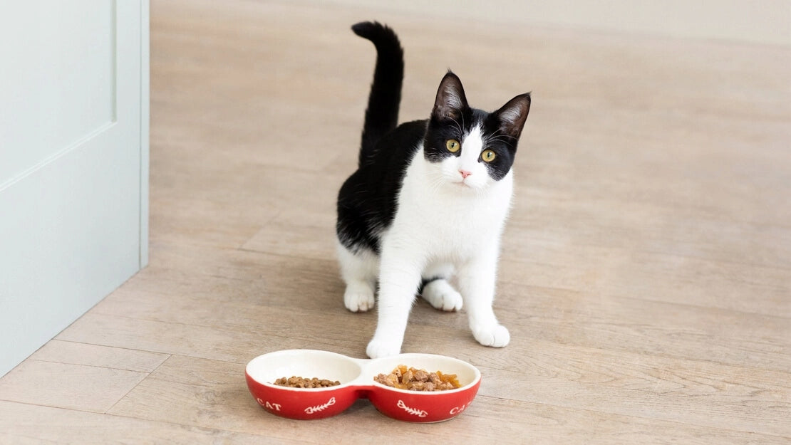 Dry food for sterilized cats Cat Chow Sterilised turkey 1,5 kg Manufacturer code EAN 7613287329516