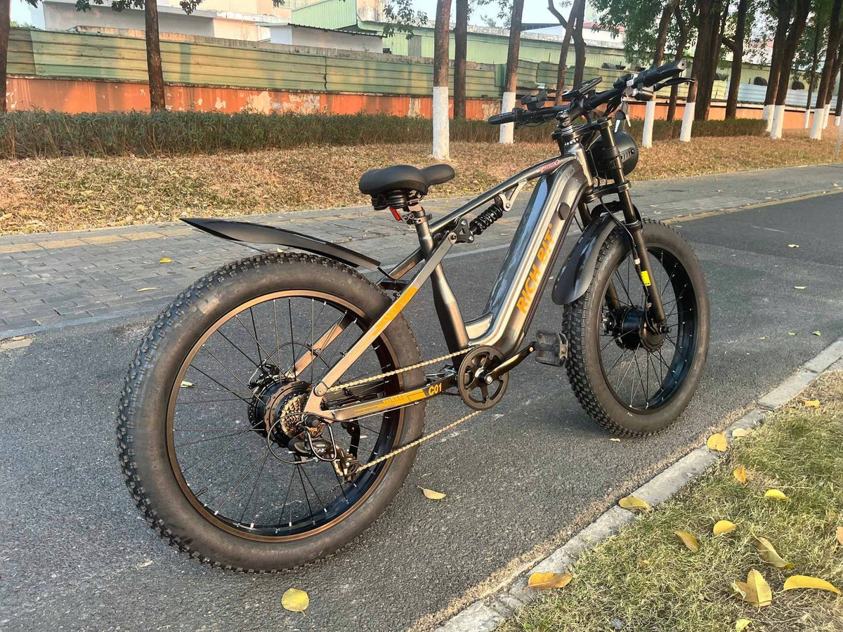 Dual Motor 3000W 63km/h 48V20Ah RICH BIT C01 All-Terrain Electric Vehicle Manufacturer code RICH BIT C01 All-Terrain Electric Vehicle PL