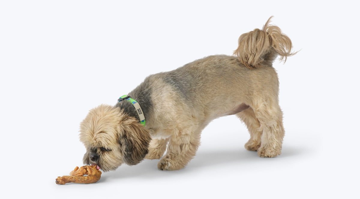 Duck Neck for Dog Natural Dried Teether 100 g Manufacturer code SJDP463SK063