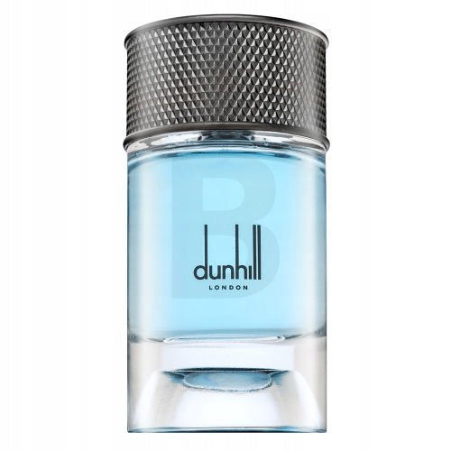 Dunhill Signature Collection Nordic Fougere parfémovaná voda pro muže 100 m