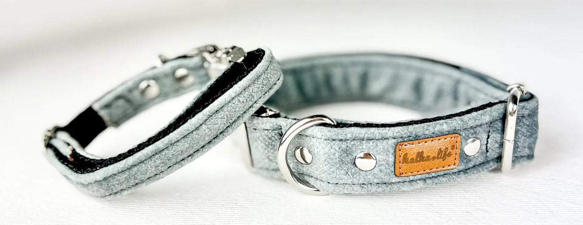 Durable Dog Collar - Grey, S, Metal Buckle
