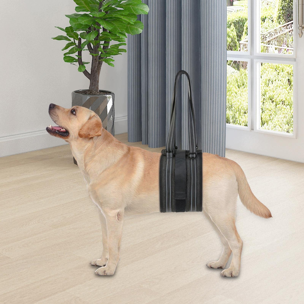 Durable Dog Harness Lifting Support for Back Legs Transfer Sling Pet S