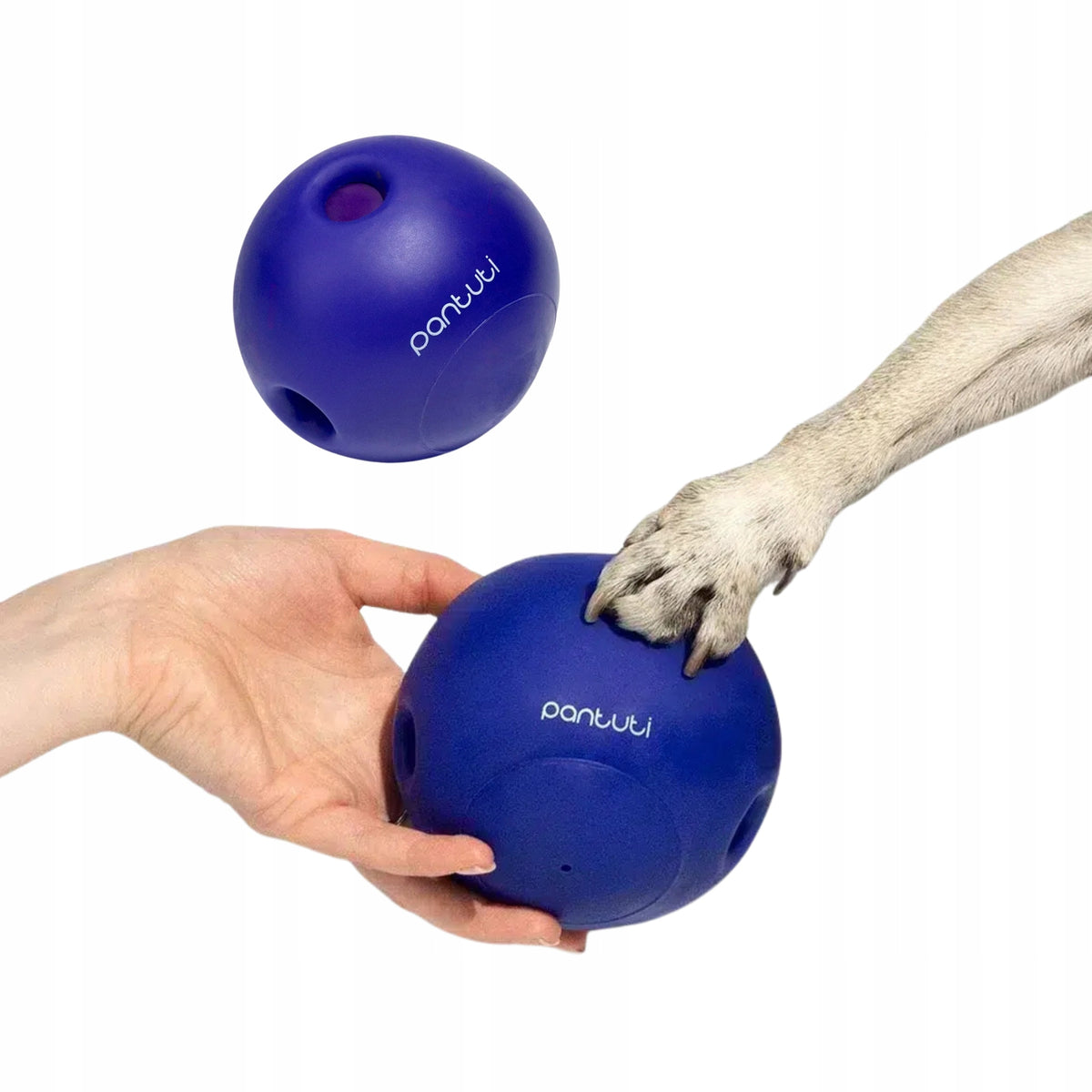 Durable giggling dog ball NEPTUN 8,8 cm