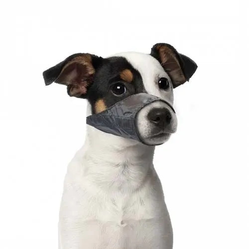 Duvo+ fabric muzzle EAN (GTIN) 5414365249526