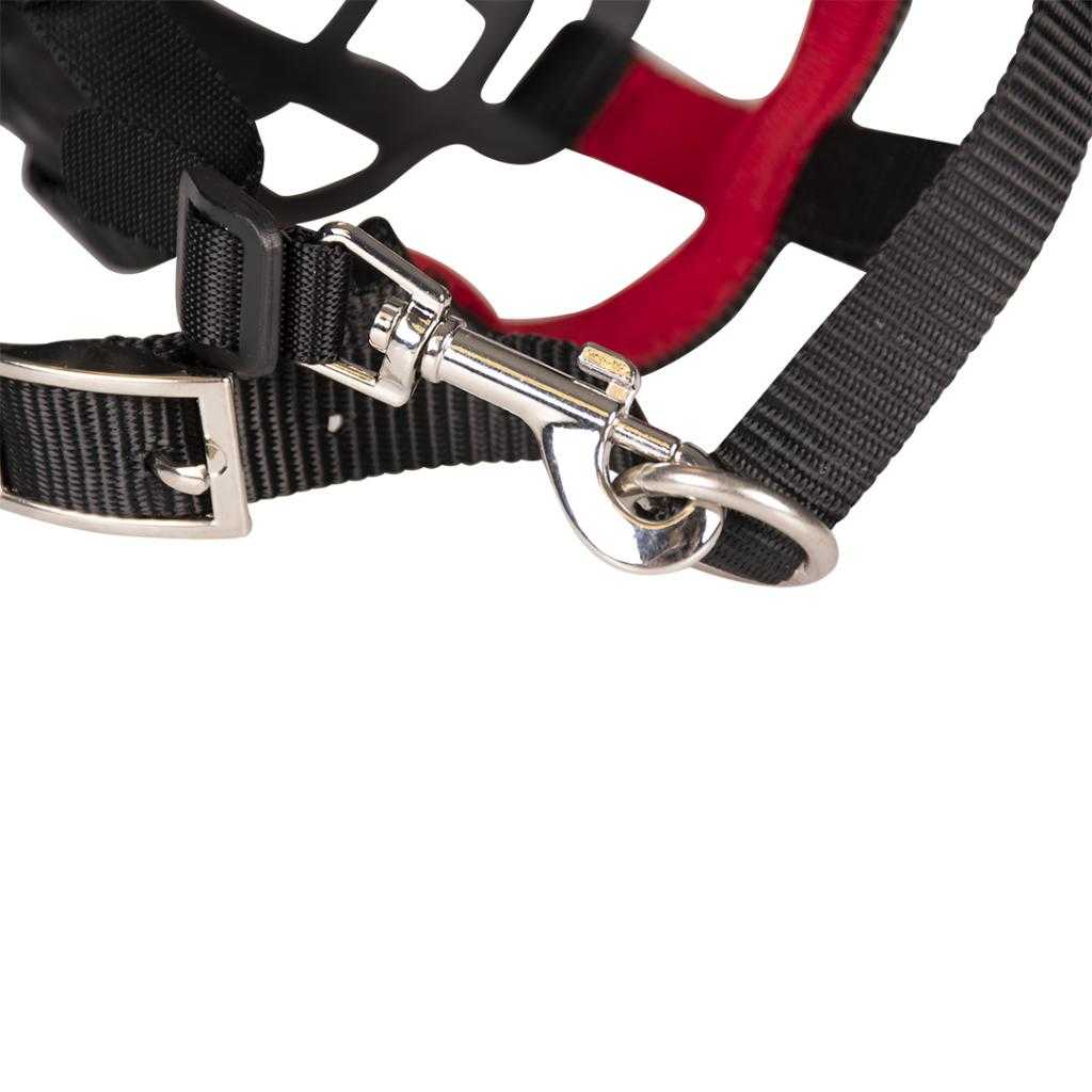 Duvo+ muzzle Dog Muzzle Rubber "XS" Brand Duvo+