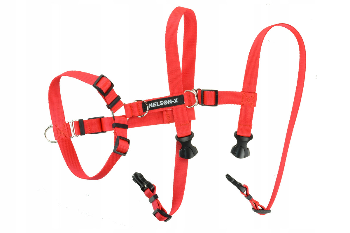 EASY GUARD WALK DOG HARNESS NELSON-X S Brand Nelson-X